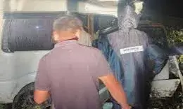 गाय को बचाने में स्कॉर्पियो  पेड़ से टकराई , राजस्थान के  पिता पुत्र सहित ४ लोगों की मौत