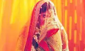 फर्जी शादी करके लाखों की ठगी करने वाला गिरोह बेनकाब,लुटेरी दुल्हन सहित तीन गिरफ्तार फर्जी शादी करके लाखों की ठगी करने वाला गिरोह बेनकाब,लुटेरी दुल्हन सहित तीन गिरफ्तार