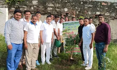 हरियालो राजस्थान अभियान के अन्तर्गत वृक्षारोपण
