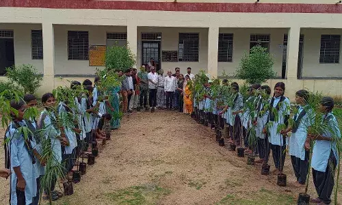 हरियालो राजस्थान कार्यक्रम के तहत पौधारोपण कराते हुए बडलियास विद्यालय में
