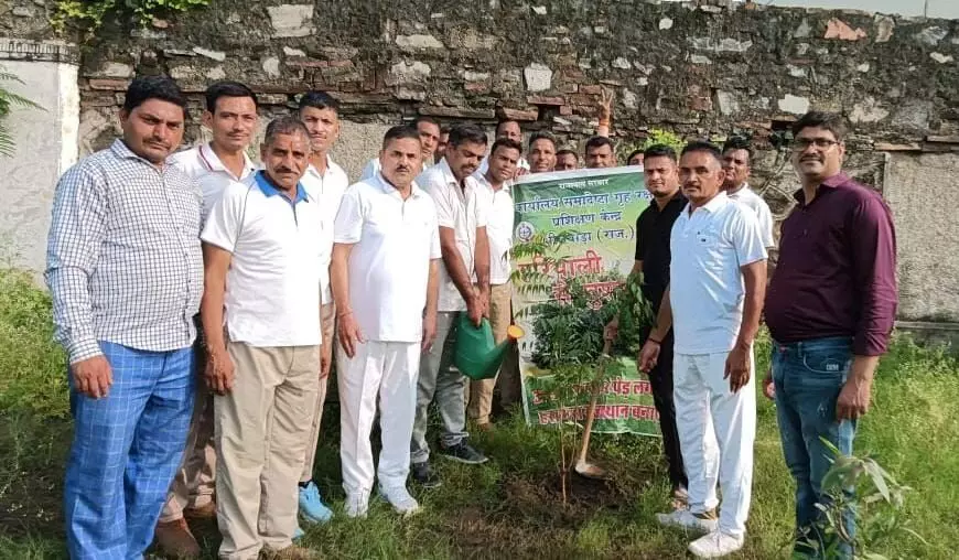 हरियालो राजस्थान अभियान के अन्तर्गत वृक्षारोपण