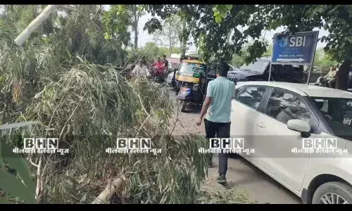 पुर रोड पर गिरा पेड़ ,टला हादसा, यातायात बाधित