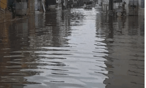 बारिश से पाली के हालत बिगड़े हर जगह पानी ही पानी, कलेक्टर एस पी ने ट्रैक्टर से लिया जायजा