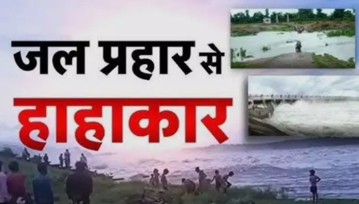 12 मौत: 6 लापता,कोटा-पाली - कोटा में स्कूल छुट्टी, भीलवाड़ा सहित आज 13 जिलों में अलर्ट 12 मौत: 6 लापता,कोटा-पाली - कोटा में स्कूल छुट्टी, भीलवाड़ा सहित आज 13 जिलों में अलर्ट