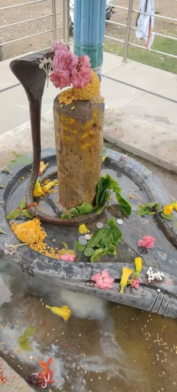 ऋण मुक्तेश्वर महादेव पर उमड़ा भक्तों का सैलाब, चने की दाल चढ़ाकर ऋण मुक्ति की करते हैं प्रार्थना ऋण मुक्तेश्वर महादेव पर उमड़ा भक्तों का सैलाब, चने की दाल चढ़ाकर ऋण मुक्ति की करते हैं प्रार्थना