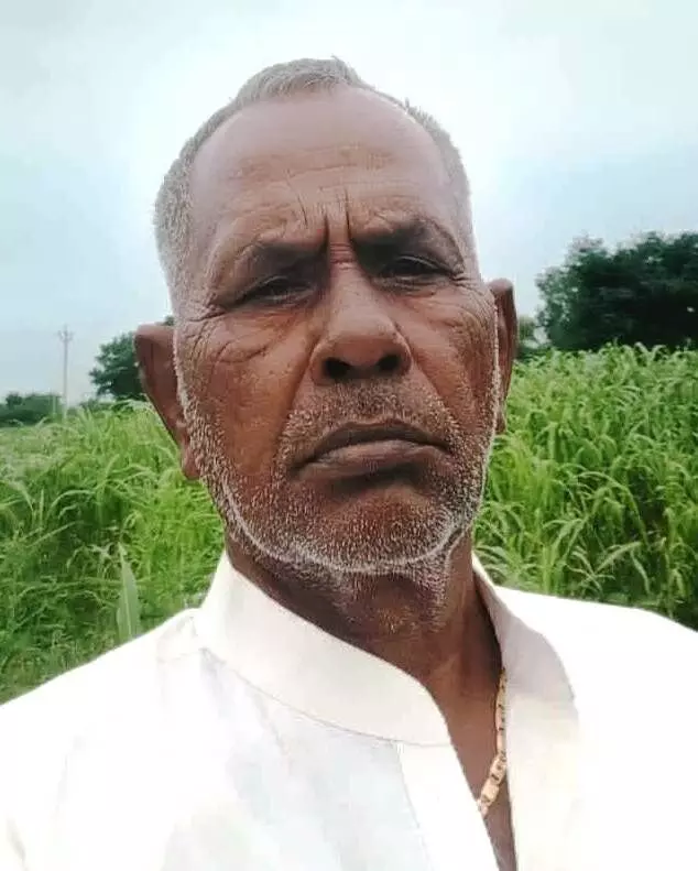माली महासभा के माण्डल तहसील अध्यक्ष नियुक्त माली महासभा के माण्डल तहसील अध्यक्ष नियुक्त