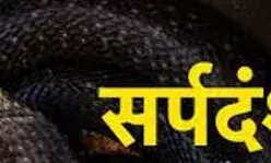 सर्पदंश से नौ साल की बच्ची की मौत, महिला व किशोरी की बिगड़ी हालत