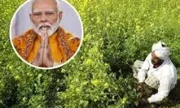 PM मोदी सरकार का किसानों को एक और तोहफा? कैबिनेट से पीएम धन-धान्य कृषि योजना को मिल सकती है मंजूरी