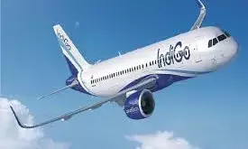 दिल्ली से गोवा जा रही फ्लाइट का इंजन फेल, 17 मिनट तक हवा में अटका रहा इंडिगो का प्लेन और फिर...