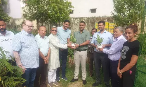 संगम समूह द्वारा एक लाख पौधे एवं 5 हजार ट्री गार्ड  वितरण का शुभारंभ