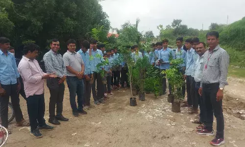 हरणी कलां स्कूल में हुआ पौधरोपण