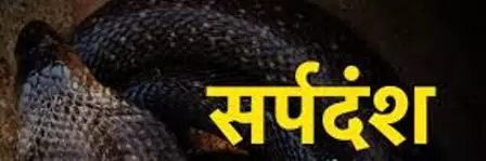 सर्पदंश से नौ साल की बच्ची की मौत, महिला व किशोरी की बिगड़ी हालत सर्पदंश से नौ साल की बच्ची की मौत, महिला व किशोरी की बिगड़ी हालत