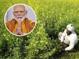 PM मोदी सरकार का किसानों को एक और तोहफा? कैबिनेट से पीएम धन-धान्य कृषि योजना को मिल सकती है मंजूरी