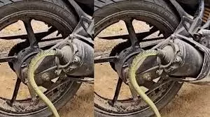 बाइक के साइलेंसर को सांप ने बनाया घर