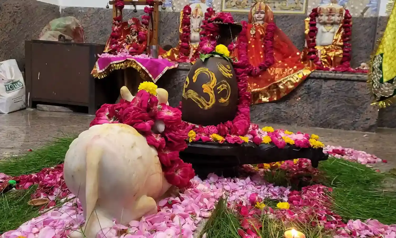 श्री नर्मदेश्वर महादेव मंदिर तक निकलेगी कावड़ यात्रा