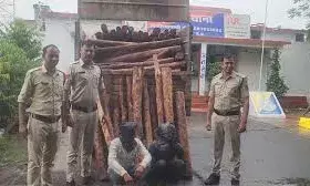 4.5 करोड़ की 2260 किलो लाल चंदन जब्त, दो तस्कर गिरफ्तार