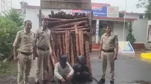 4.5 करोड़ की 2260 किलो लाल चंदन जब्त, दो तस्कर गिरफ्तार