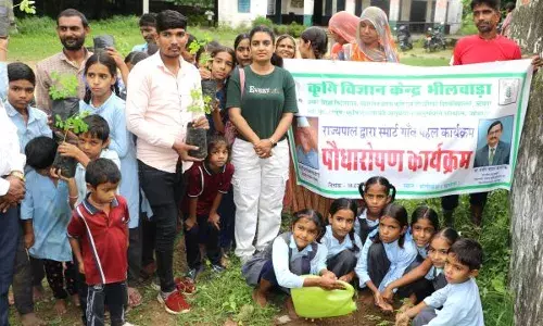 राज्यपाल स्मार्ट विलेज के तहत् ढ़ोलीखेड़ा में हुआ पौधारोपण