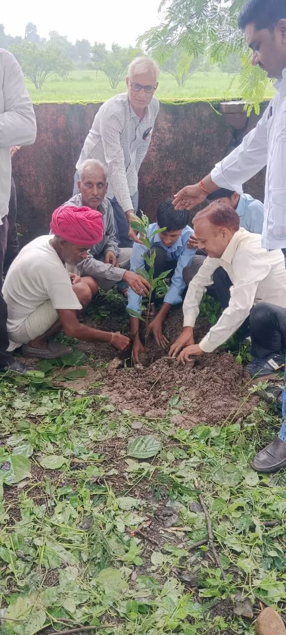 वृक्षारोपण कार्यक्रम आयोजित
