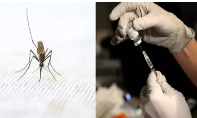 भारत में  मलेरिया का पहला टीका तैयार,जल्द शुरू होगा उत्पादन
