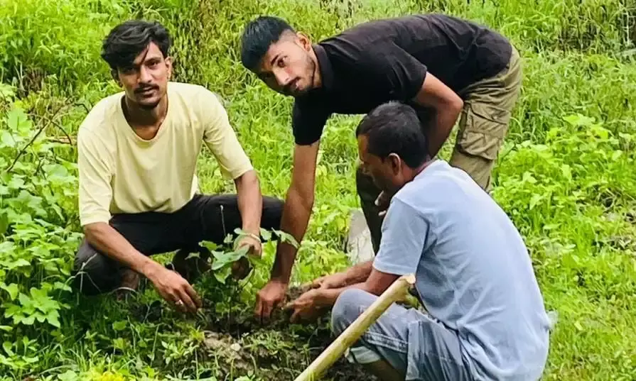 हिन्दू सेना ने सावन माह में किया पौधरोपण, पर्यावरण संरक्षण का लिया संकल्प