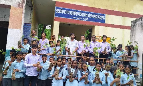 जोर का खेड़ा स्कूल में शिक्षकों व छात्रों ने 315 पौधे लगाए