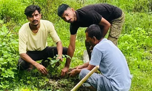 हिन्दू सेना ने सावन माह में किया पौधरोपण, पर्यावरण संरक्षण का लिया संकल्प