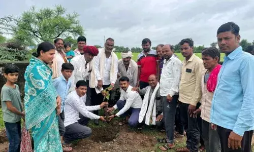 विद्यालय में लगाए 60 पौधे