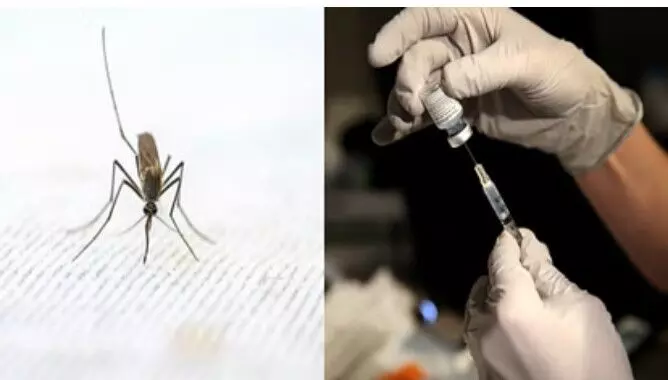 भारत में मलेरिया का पहला टीका तैयार,जल्द शुरू होगा उत्पादन भारत में मलेरिया का पहला टीका तैयार,जल्द शुरू होगा उत्पादन