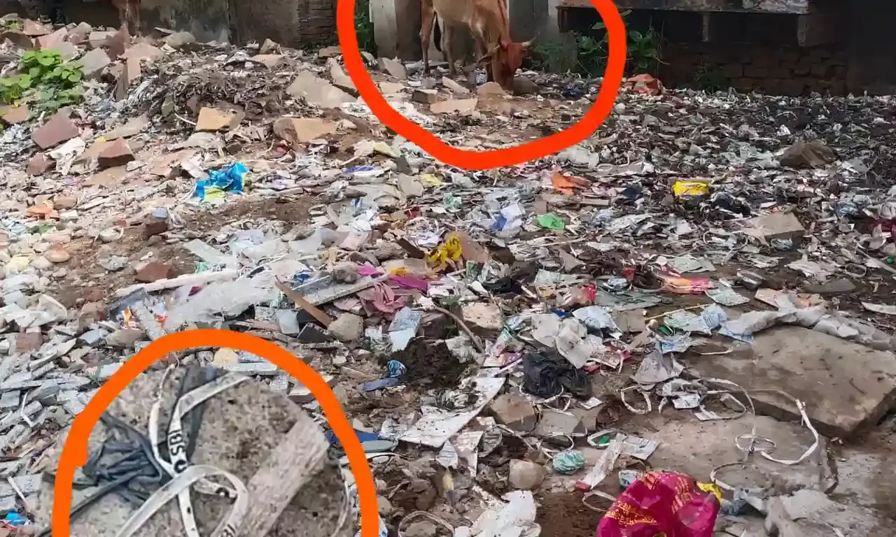 वार्ड न. 2 में गंदगी का आलम, पार्षद की अनदेखी से लोग परेशान