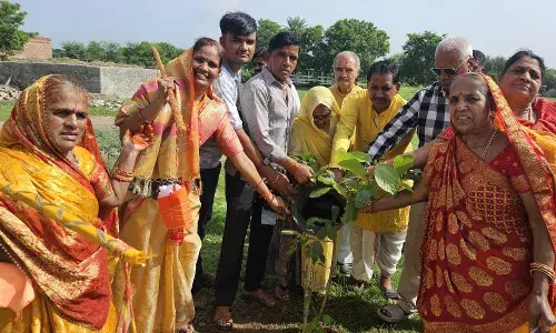 पिता की पुण्य स्मृति में चंवरा के हनुमान जी के मंदिर में किया पौधारोपण