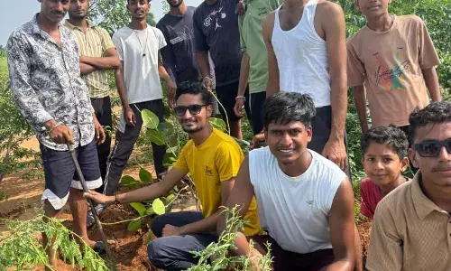 वृक्षारोपण कार्यक्रम आयोजित