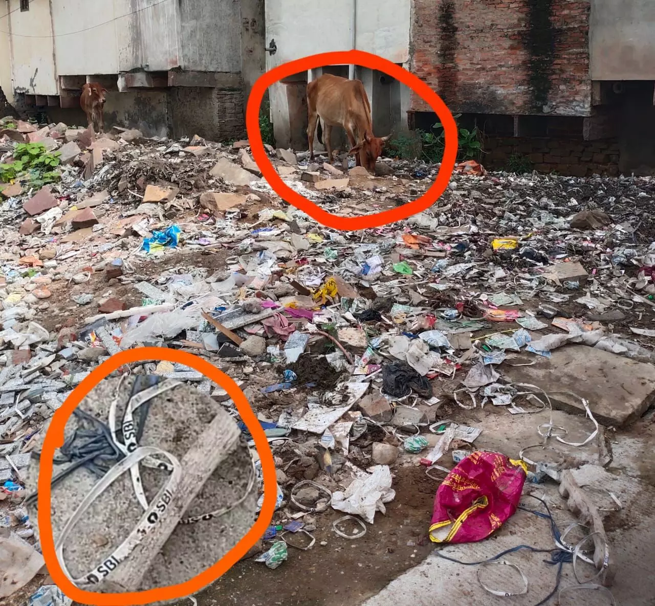 वार्ड न. 2 में गंदगी का आलम, पार्षद की अनदेखी से लोग परेशान