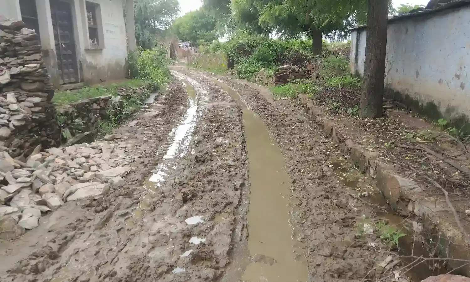 स्वच्छता अभियान बना मजाक ,ग्रामीणों ने सीईओ से की कार्यवाही की मांग स्वच्छता अभियान बना मजाक ,ग्रामीणों ने सीईओ से की कार्यवाही की मांग