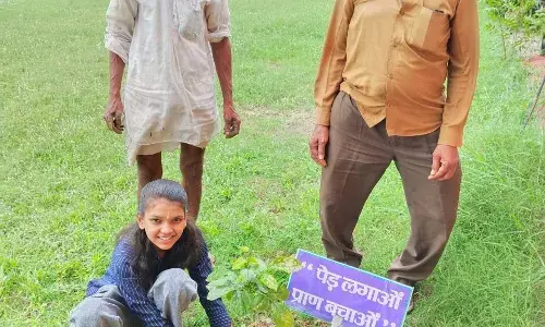 वृक्षारोपण किया