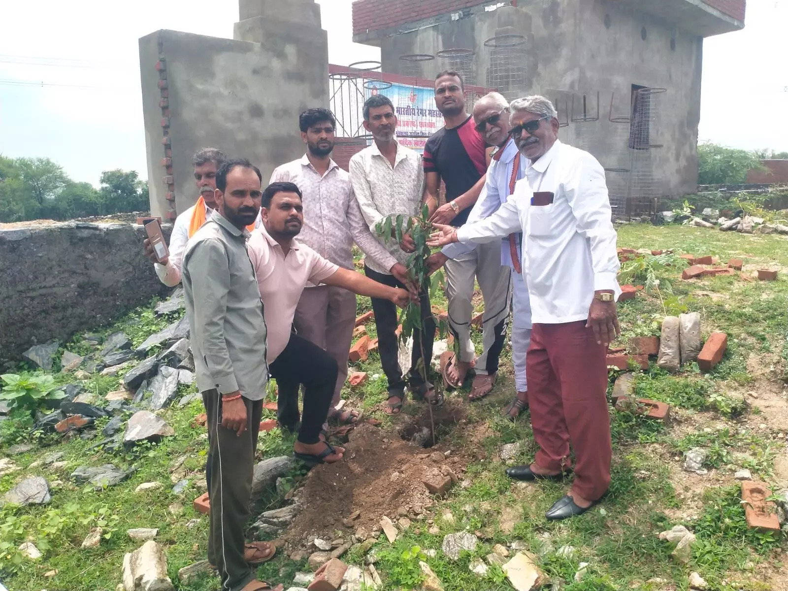 31 पौधे लगाएं