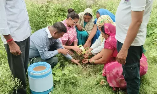 आयुर्वेदिक औषधालय में किया पौधारोपण