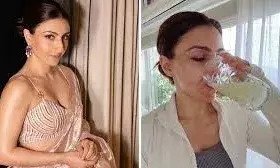 सोहा अली का ब्यूटी सीक्रेट! 46 की उम्र में भी दिखती हैं यंग सोहा अली का ब्यूटी सीक्रेट! 46 की उम्र में भी दिखती हैं यंग