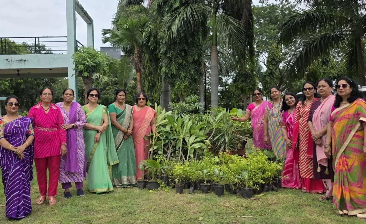 पद्मिनी क्लब ने 51 पौधे लगाए पद्मिनी क्लब ने 51 पौधे लगाए