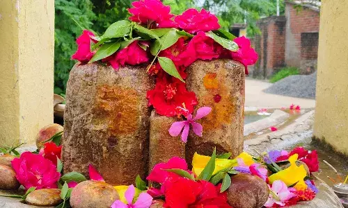 हरियाली अमावस्या पर की पूजा-अर्चना, किया दान-पुण्य