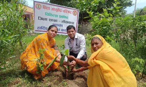 बनकाखेड़ा आयुर्वेद औषधालय पर किया पौधारोपण