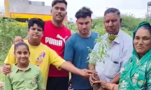 हरियाली अमावस्या पर किया पौधारोपण हरियाली अमावस्या पर किया पौधारोपण