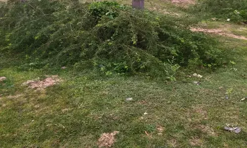 चंबल लाइन: एक साल बीत गया, ग्रामीणों को पानी का इंतजार