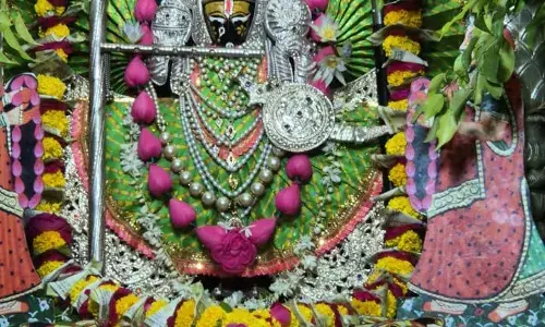 नौगांवा सांवलिया धाम में हरियाली अमावस्या महोत्सव धूमधाम से संपन्न: ग्वाल बाल संग हुए कृष्ण दर्शन