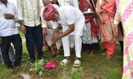 एक पेड़ मां के नाम कार्यक्रम का हुआ आयोजन