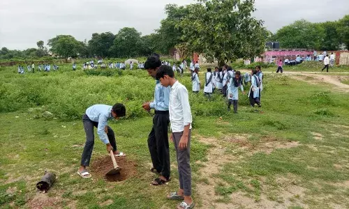 विद्यालय में किया पौधारोपण ली सुरक्षा की जिम्मेदारी