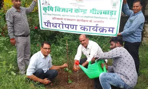 हरियालो राजस्थान के तहत् केवीके पर हुआ पौधारोपण