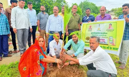 हरियालो राजस्थान एवं वन महोत्सव के तहत  40000 पौधे लगाने का लक्ष्य –स्वर्णकार