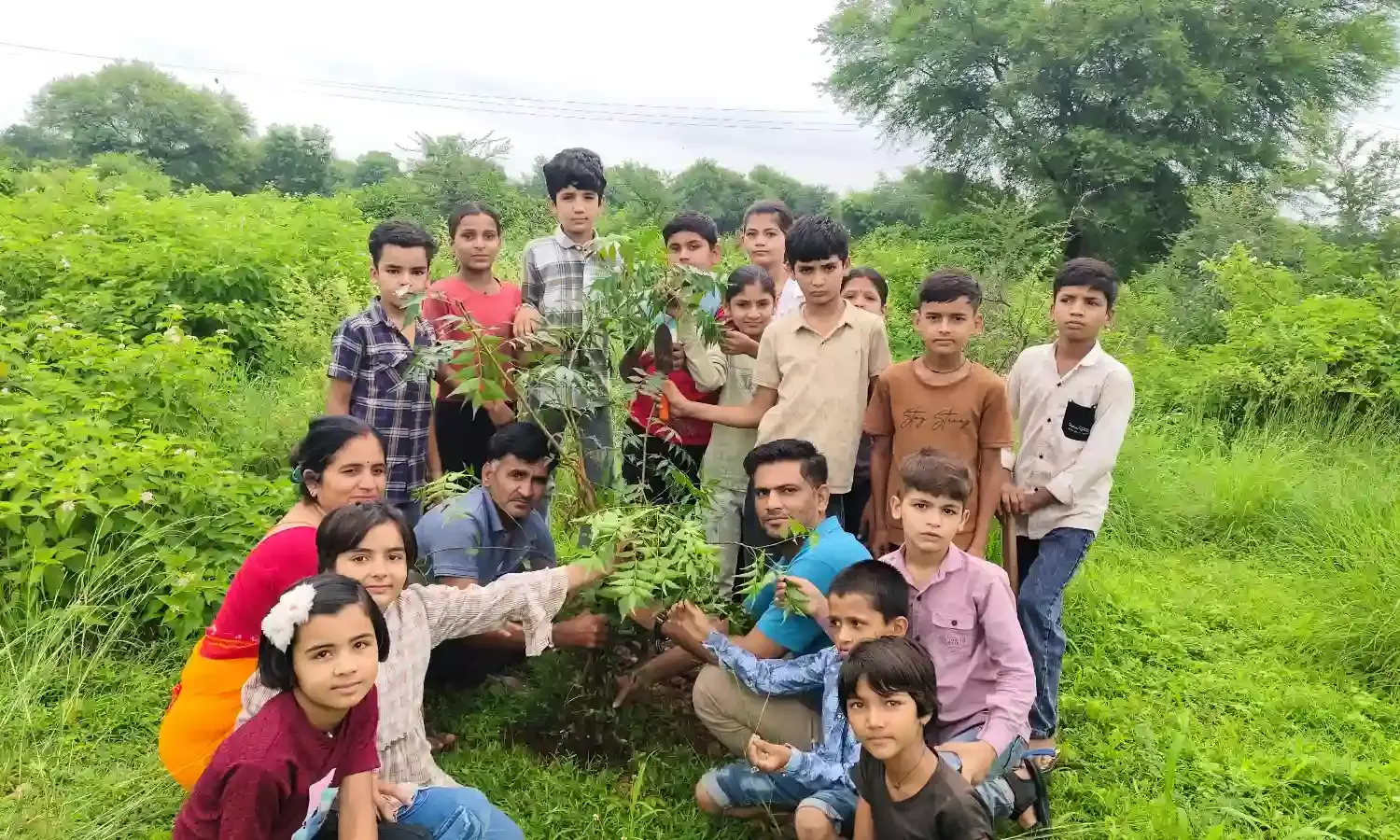 हरियाली तीज पर विद्यालयों में किया पौधारोपण