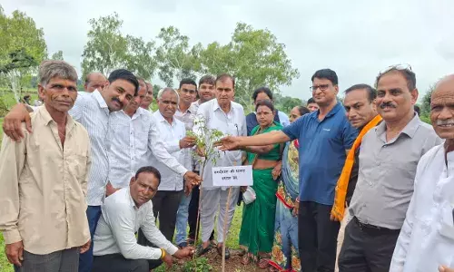 हरियालो राजस्थान अभियान के अंतर्गत हरियाली तीज पर हुआ ब्लॉक स्तरीय पौधारोपण कार्यक्रम